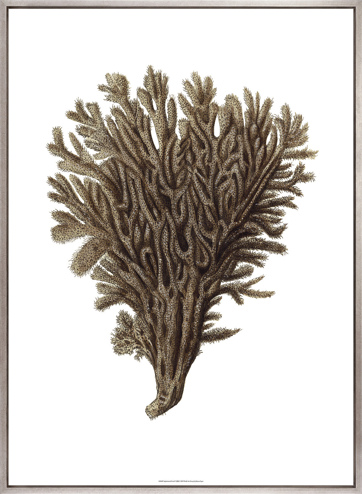 Exotic Coral III (Canvas)