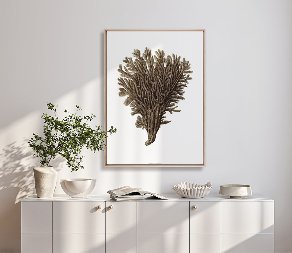 Exotic Coral III (Canvas)