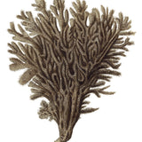 Exotic Coral III (Canvas) Large (903mm W x 1109mm H)