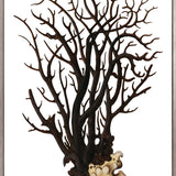 Exotic Coral IV (Canvas) Large (903mm W x 1109mm H)