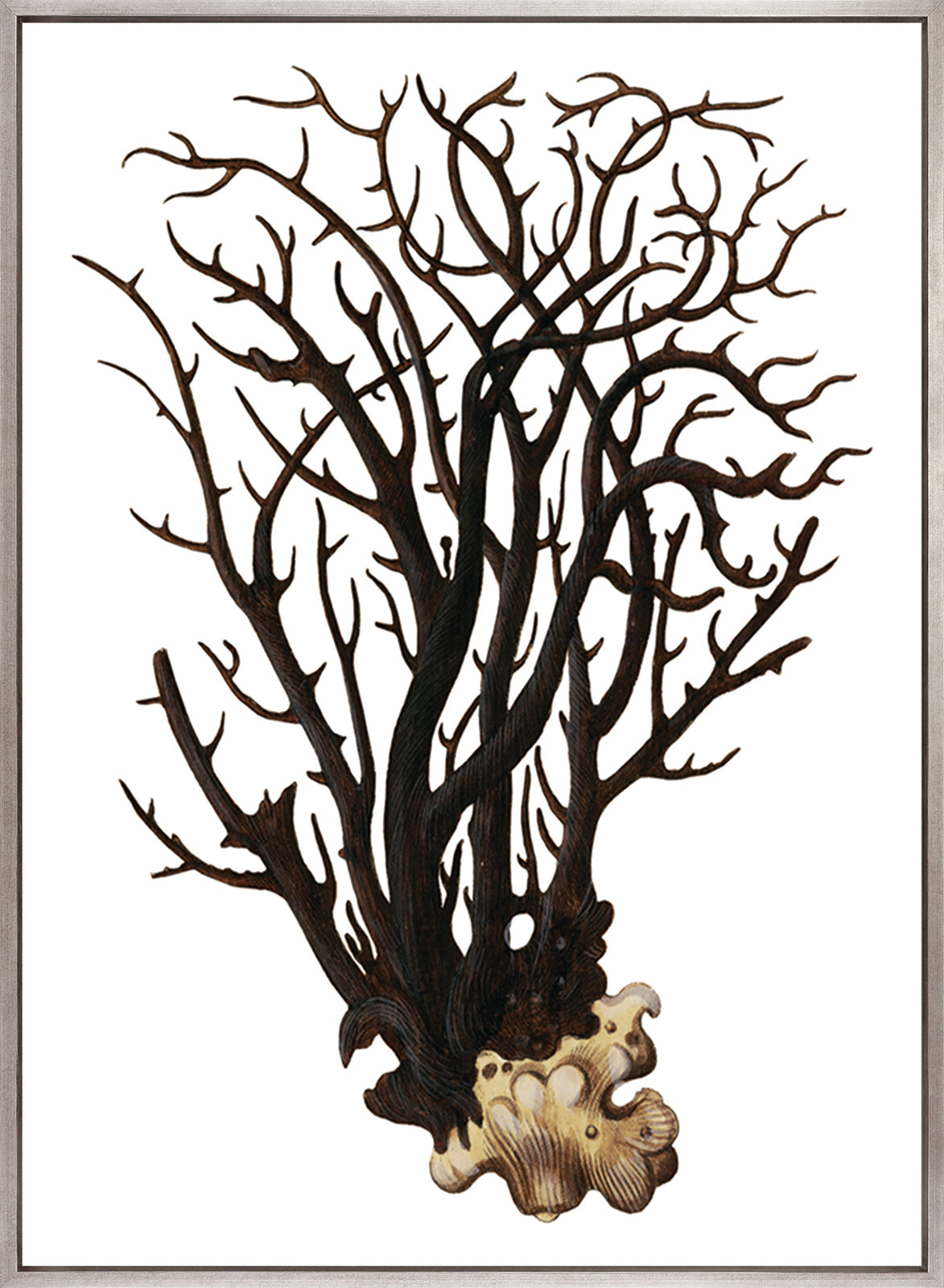 Exotic Coral IV (Canvas)