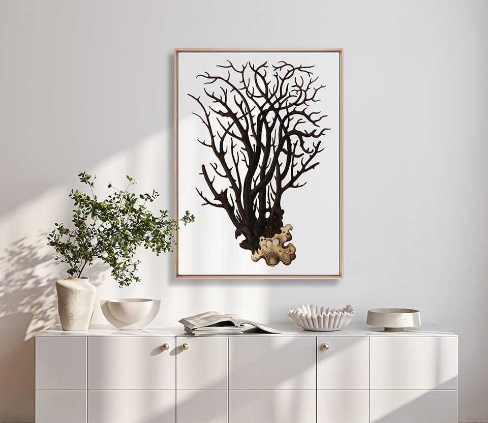 Exotic Coral IV (Canvas)