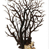 Exotic Coral IV (Canvas) Large (903mm W x 1109mm H)