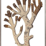 Exotic Coral V (Canvas) Large (903mm W x 1109mm H)