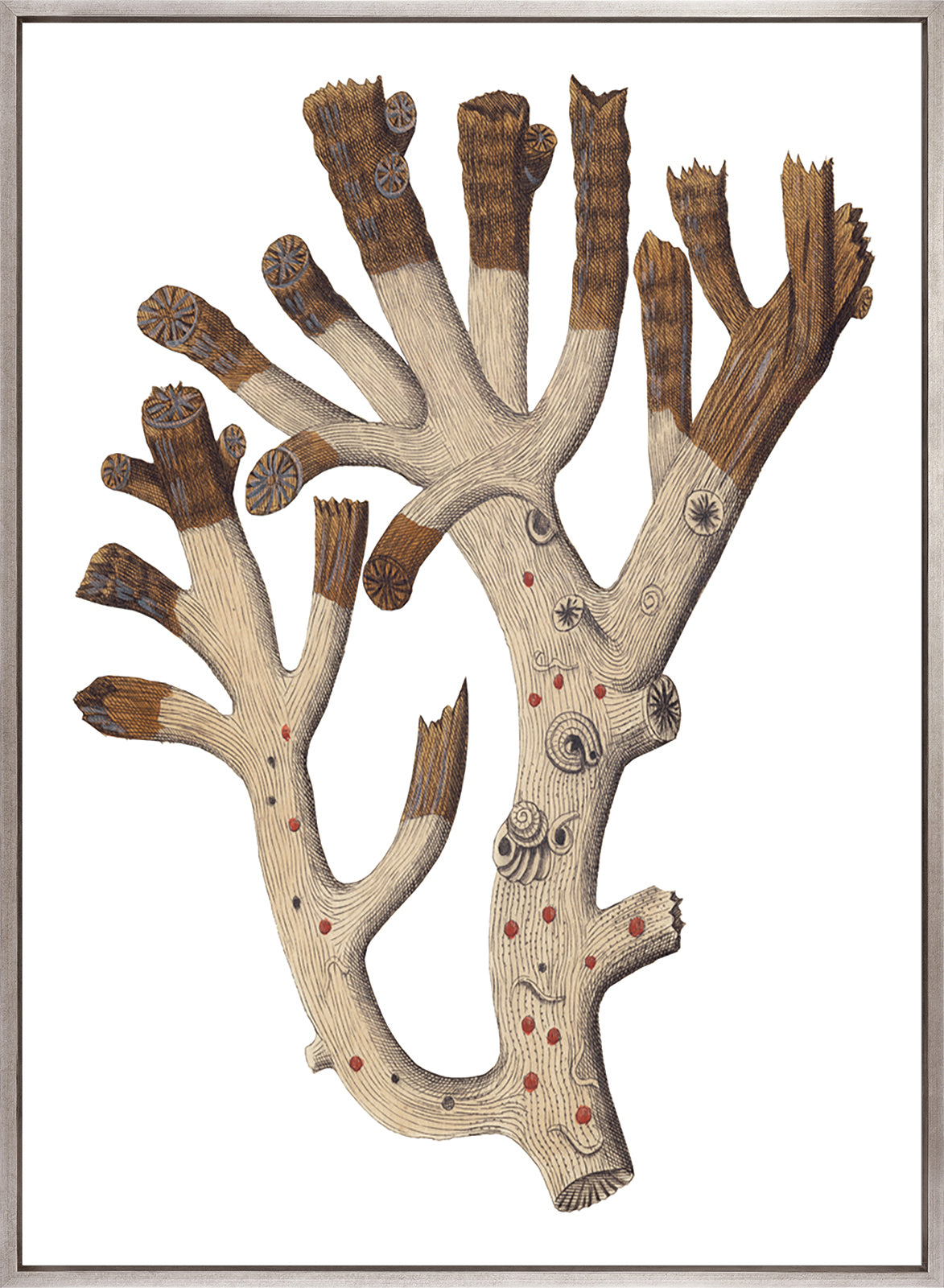 Exotic Coral V (Canvas)