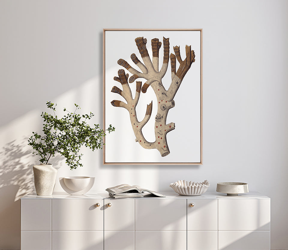 Exotic Coral V (Canvas)