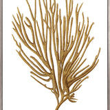 Exotic Coral VI (Canvas) Large (903mm W x 1109mm H)