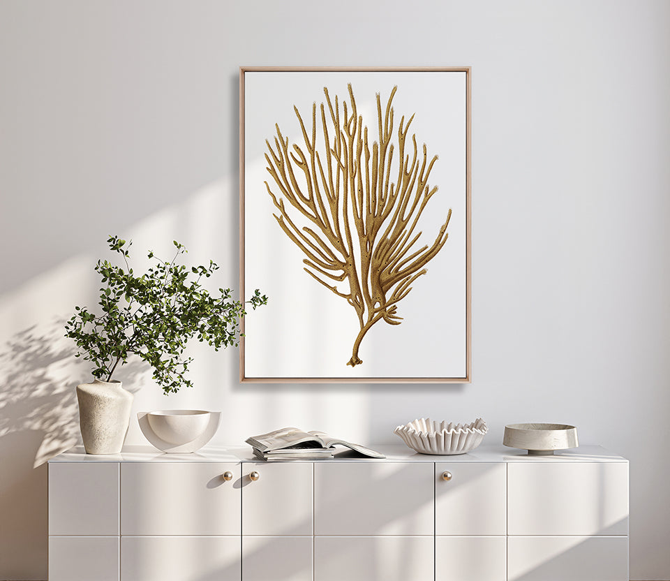 Exotic Coral VI (Canvas)