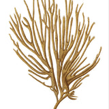 Exotic Coral VI (Canvas) Large (903mm W x 1109mm H)