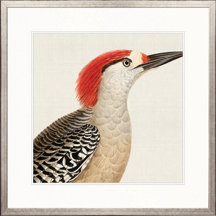 Enchanted Forest Bird II