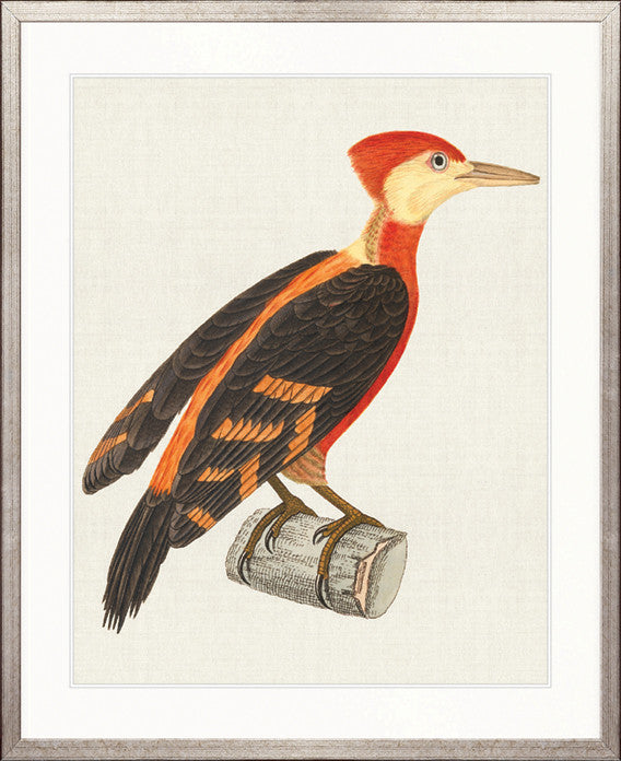 Enchanted Forest Bird VII