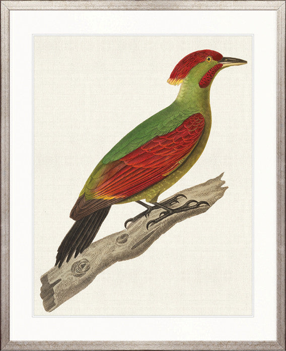Enchanted Forest Bird X