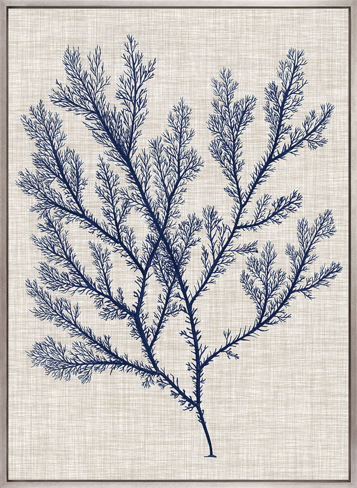 Delicate Seaweed I (Canvas)