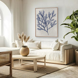 Delicate Seaweed I (Canvas) Large (903mm W x 1109mm H)