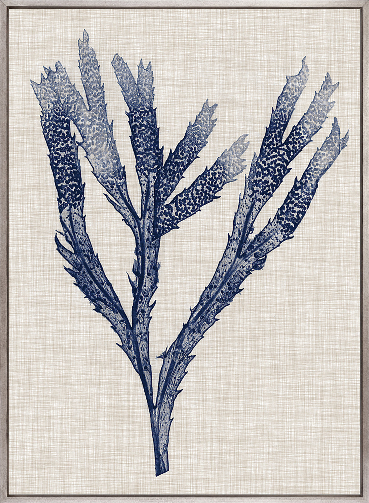 Delicate Seaweed II (Canvas)