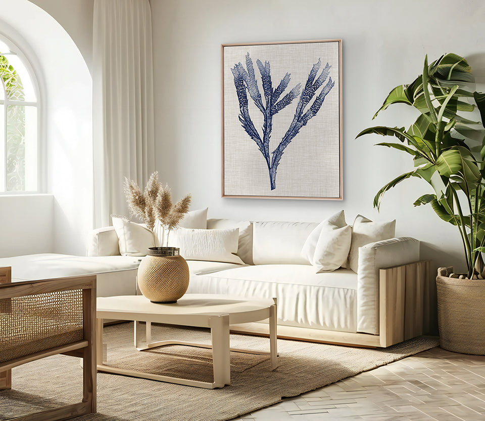 Delicate Seaweed II (Canvas)