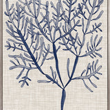 Delicate Seaweed III (Canvas) Large (903mm W x 1109mm H)