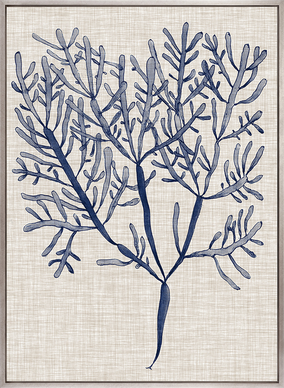 Delicate Seaweed III (Canvas)