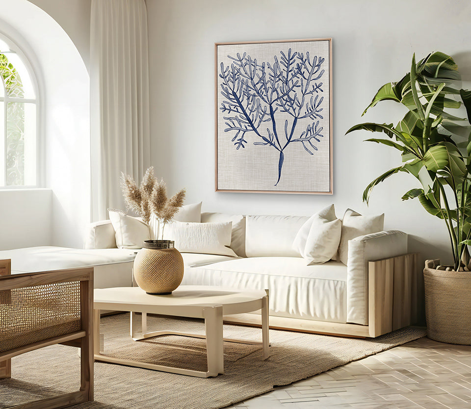 Delicate Seaweed III (Canvas)