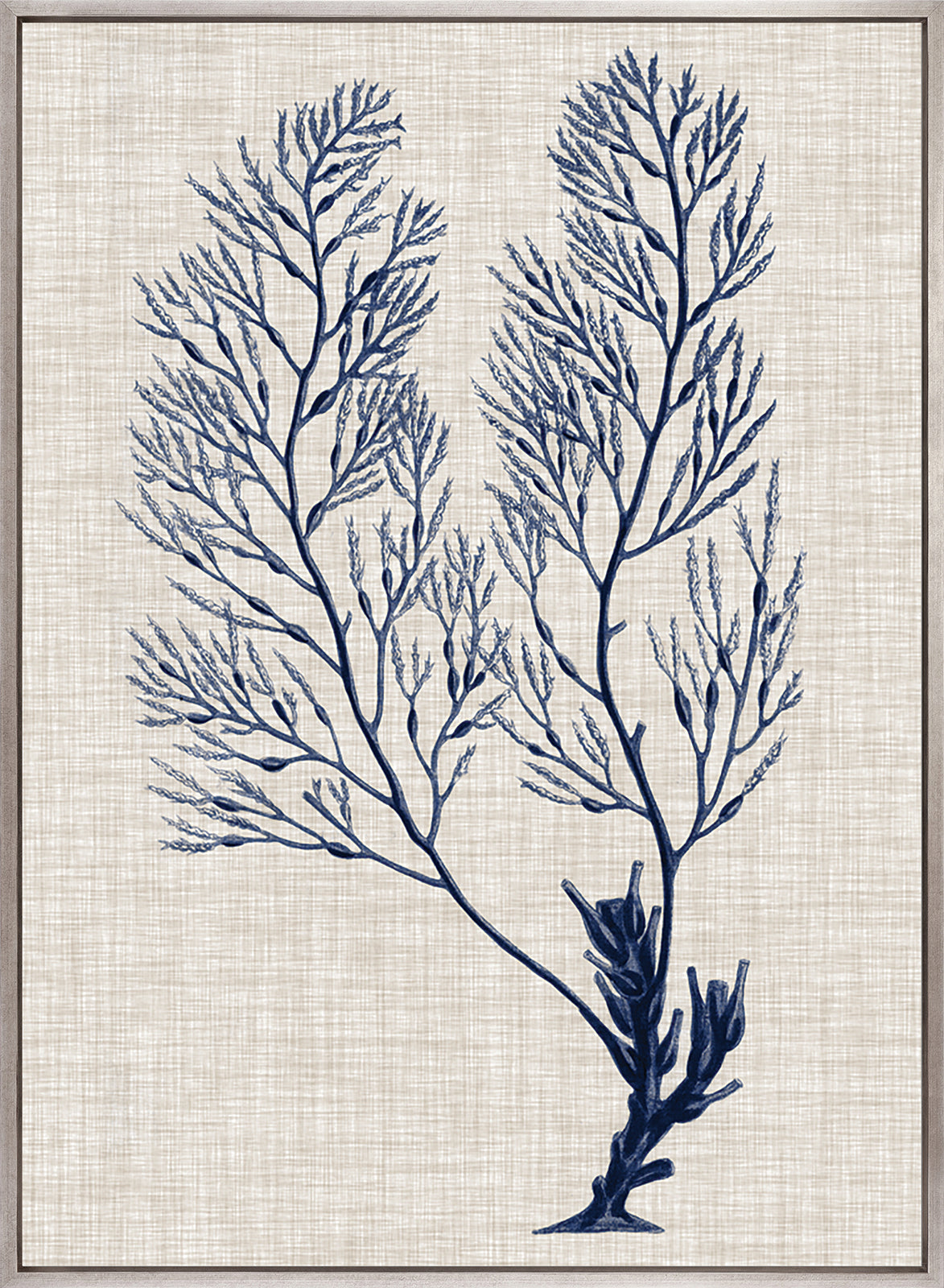 Delicate Seaweed IV (Canvas)