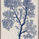 Delicate Seaweed V (Canvas) Large (903mm W x 1109mm H)