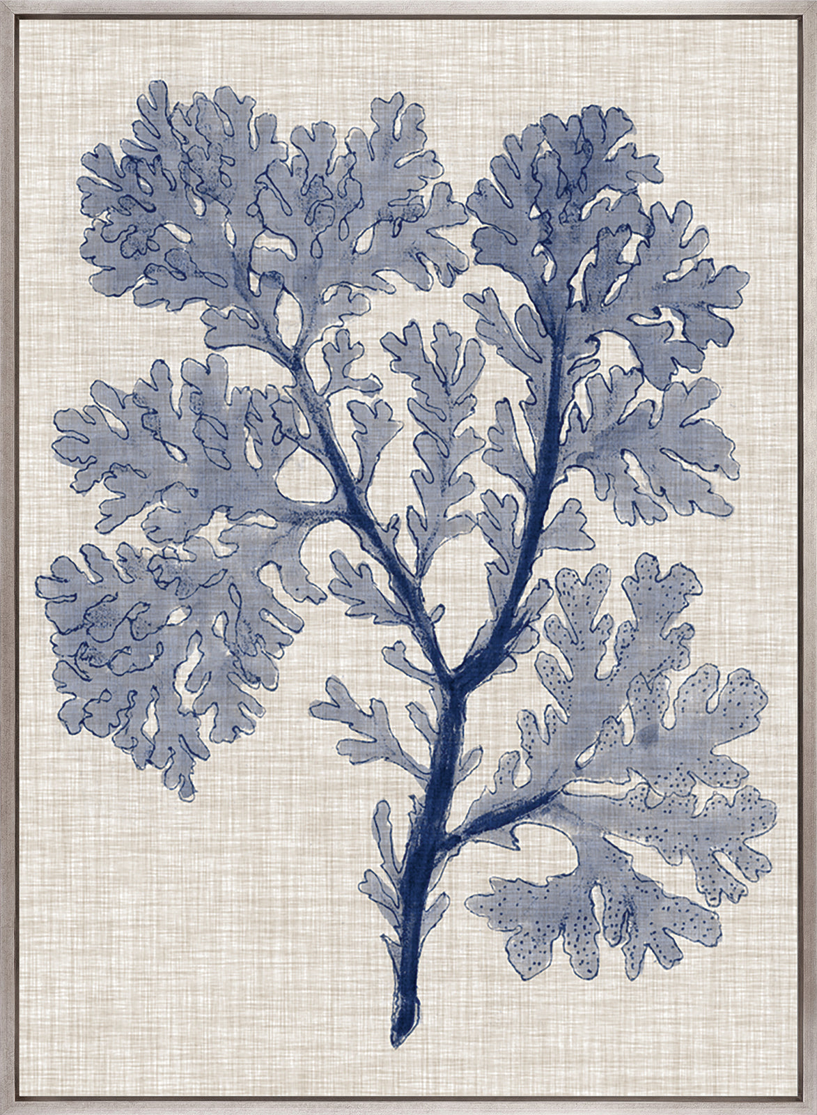 Delicate Seaweed V (Canvas)