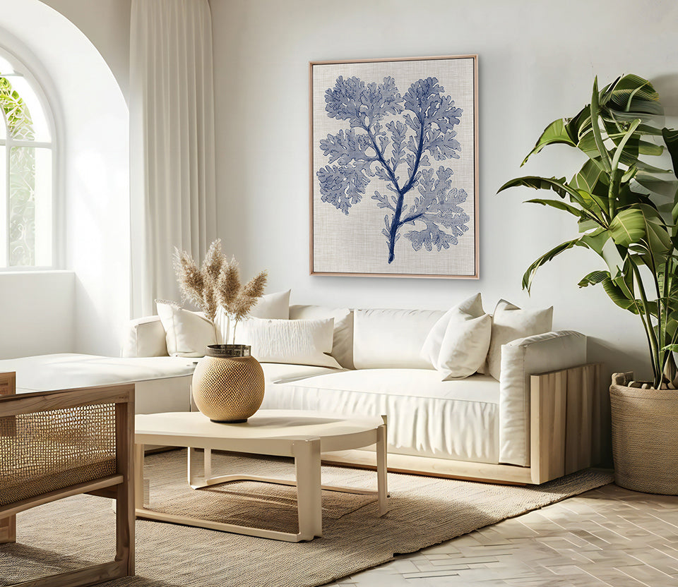 Delicate Seaweed V (Canvas)