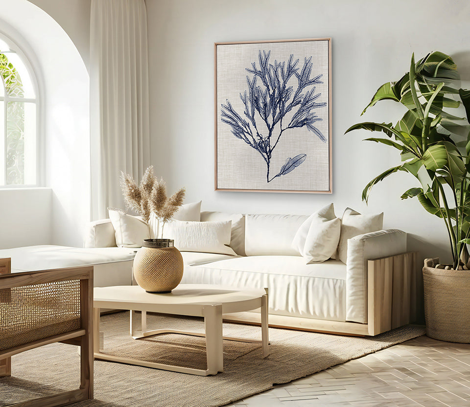 Delicate Seaweed VI (Canvas)