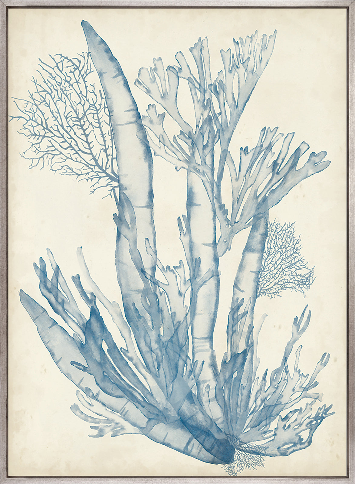 Seaweed Collage I (Pale Blue) (Canvas)