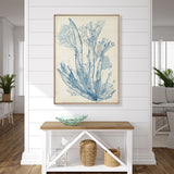 Seaweed Collage I (Pale Blue) (Canvas) Large (903mm W x 1109mm H)