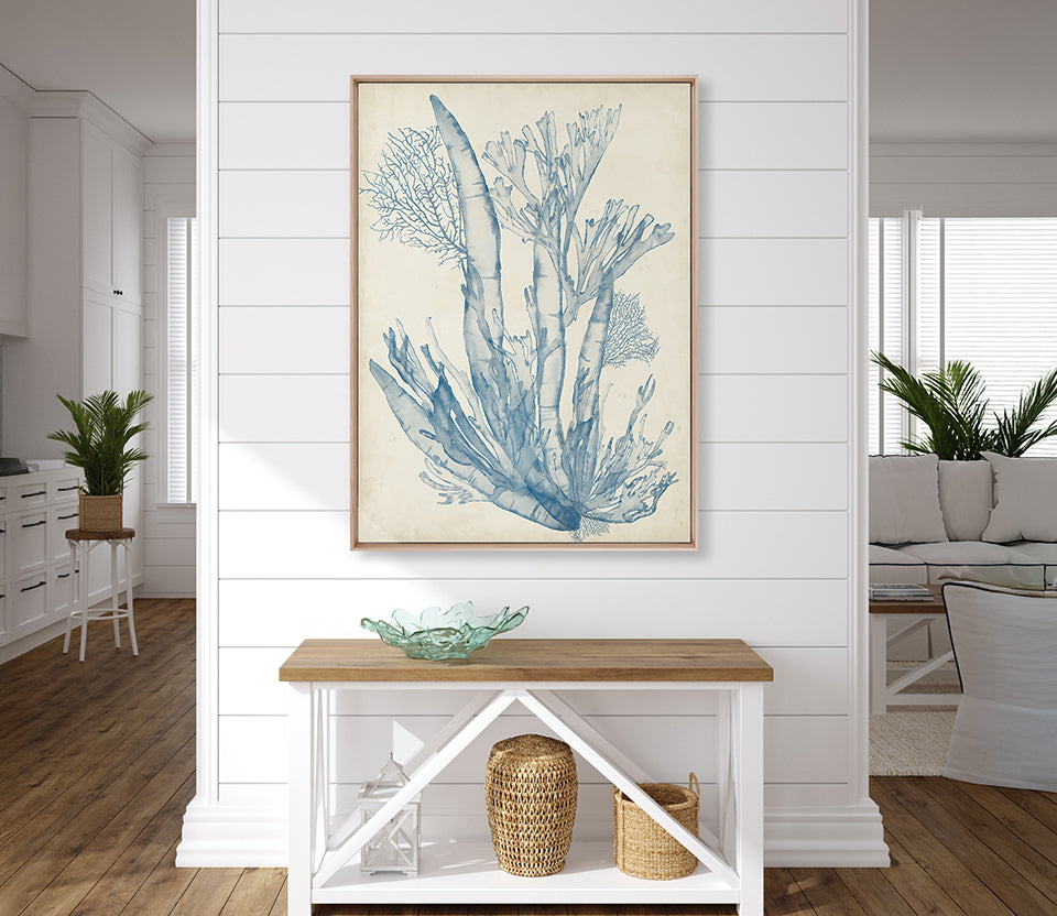 Seaweed Collage I (Pale Blue) (Canvas)