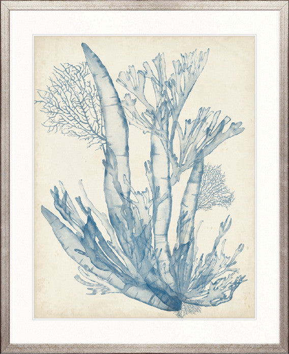 Seaweed Collage I (Pale Blue)