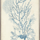 Seaweed Collage II (Pale Blue) (Canvas) Large (903mm W x 1109mm H)