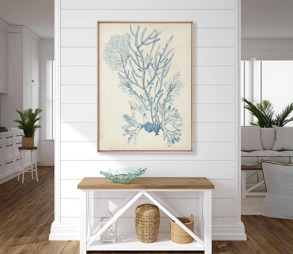 Seaweed Collage II (Pale Blue) (Canvas)