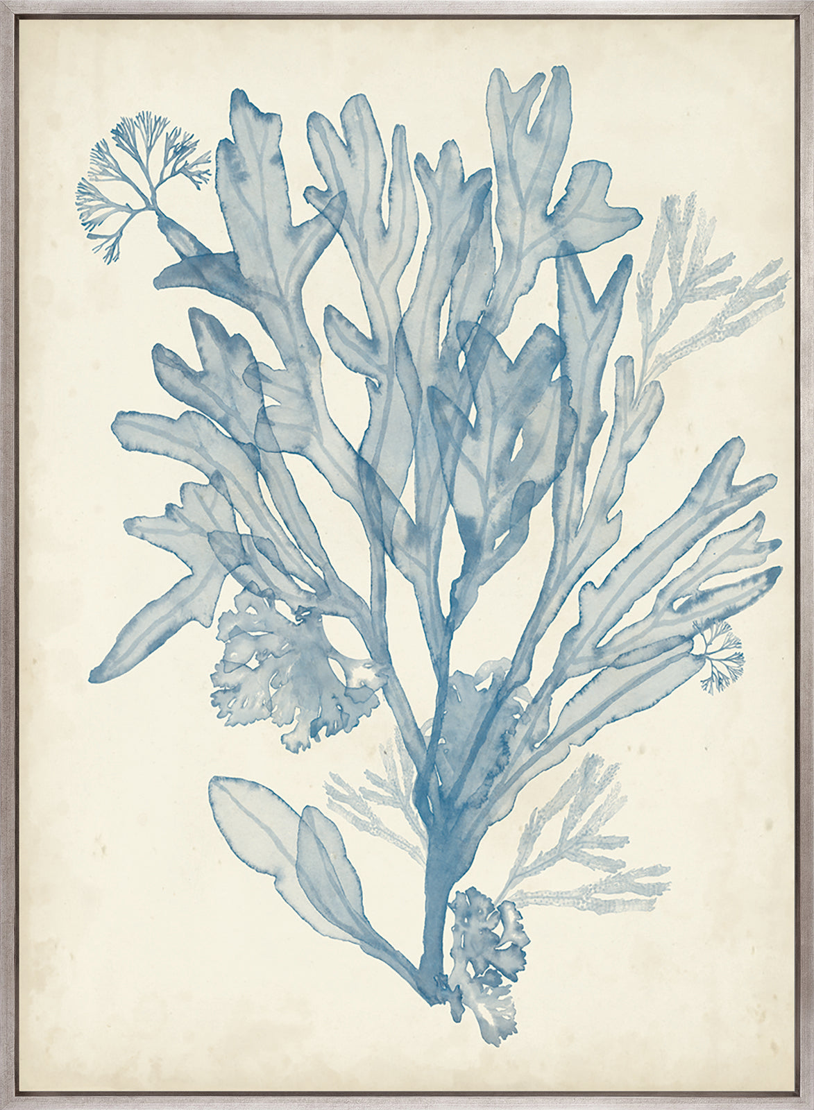 Seaweed Collage III (Pale Blue) (Canvas)