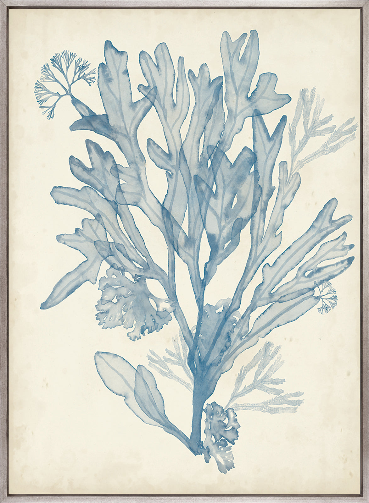 Seaweed Collage III (Pale Blue) (Canvas)