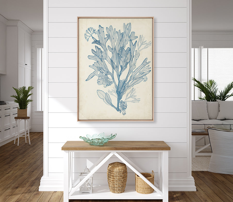 Seaweed Collage III (Pale Blue) (Canvas)