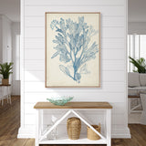 Seaweed Collage III (Pale Blue) (Canvas) Large (903mm W x 1109mm H)