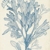 Seaweed Collage III (Pale Blue) (Canvas) Large (903mm W x 1109mm H)