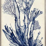 Seaweed Collage IV (Indigo) (Canvas) Large (903mm W x 1109mm H)