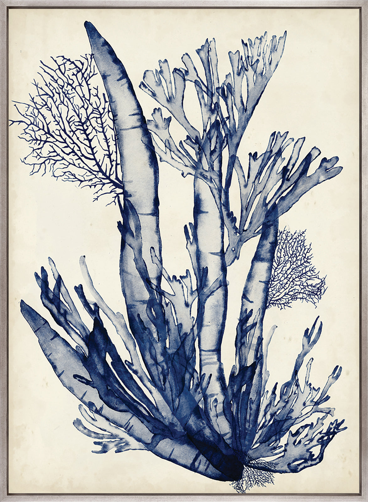 Seaweed Collage IV (Indigo) (Canvas)