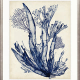 Seaweed Collage IV (Indigo)
