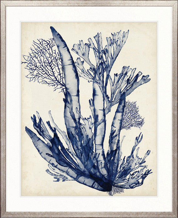 Seaweed Collage IV (Indigo)