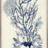 Seaweed Collage V (Indigo) (Canvas) Large (903mm W x 1109mm H)