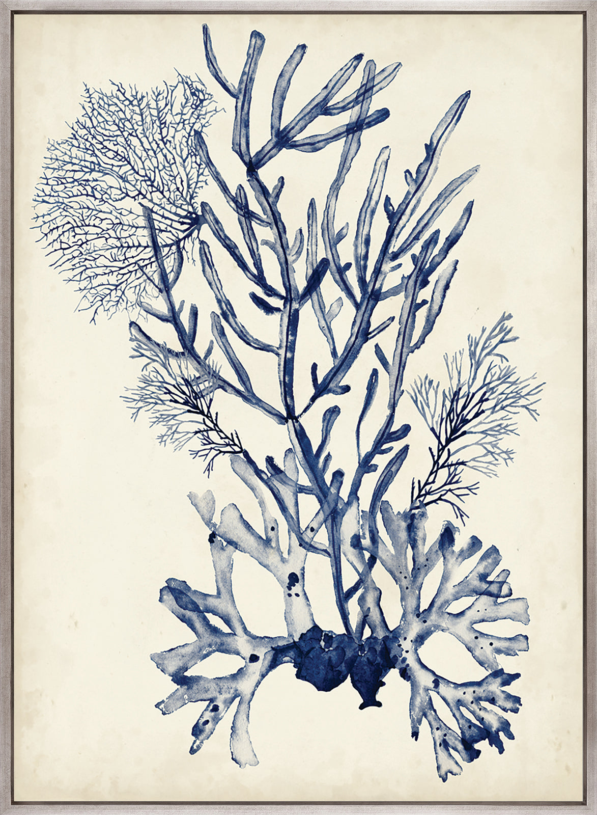 Seaweed Collage V (Indigo) (Canvas)