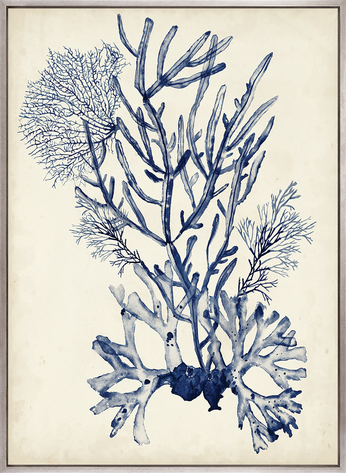 Seaweed Collage V (Indigo) (Canvas)