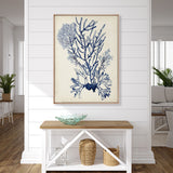 Seaweed Collage V (Indigo) (Canvas) Large (903mm W x 1109mm H)