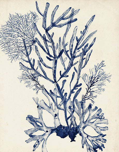 Seaweed Collage V (Indigo) (Canvas)