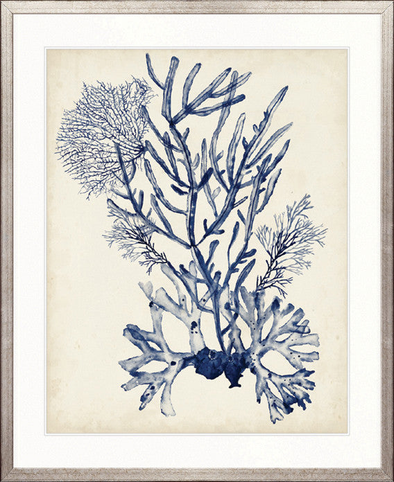 Seaweed Collage V (Indigo)