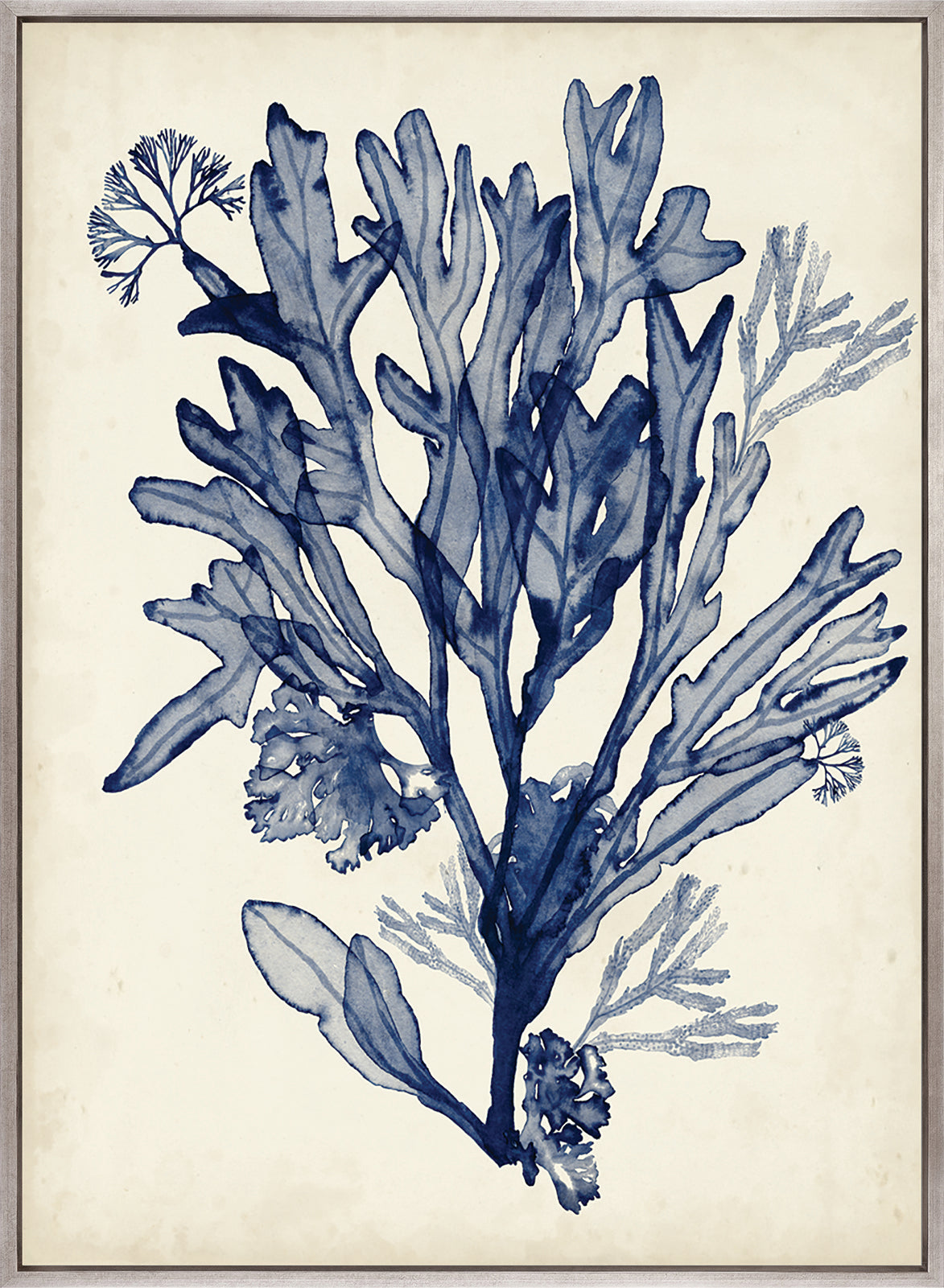 Seaweed Collage VI (Indigo) (Canvas)